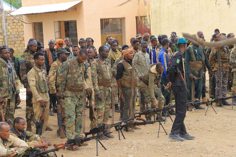 Ciidamada Berdaale.jpg